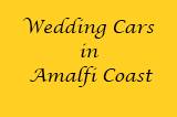 Wedding Cars Logo