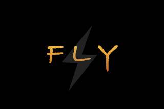 Fly logo