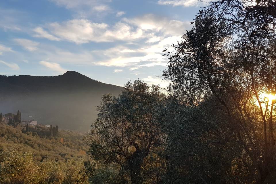 Vista dalle colline pisane