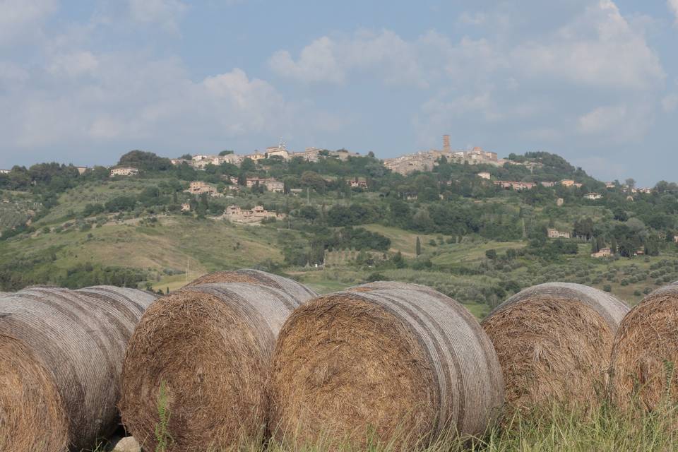 Just Tuscany