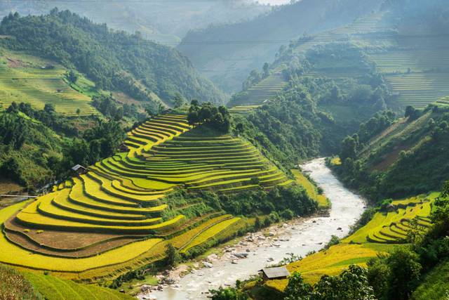 Vietnam