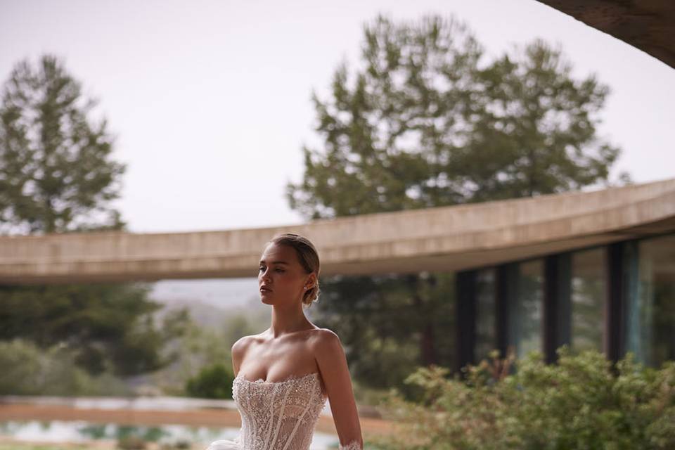 Aimee