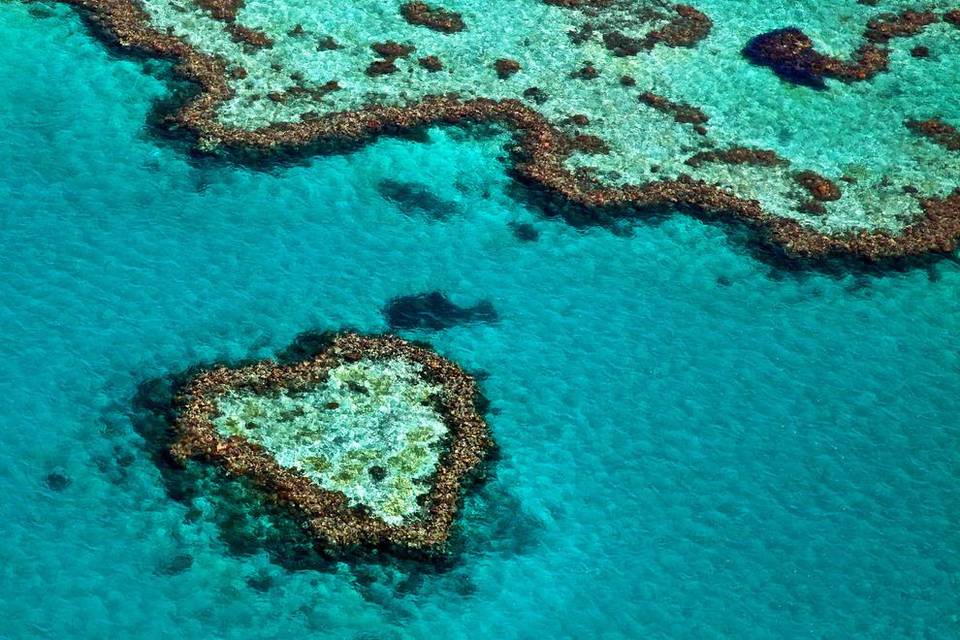 Hardy Reef Australia