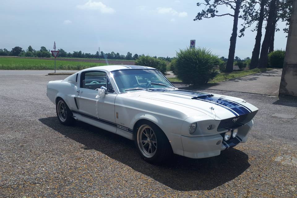 Mustang shelby 2