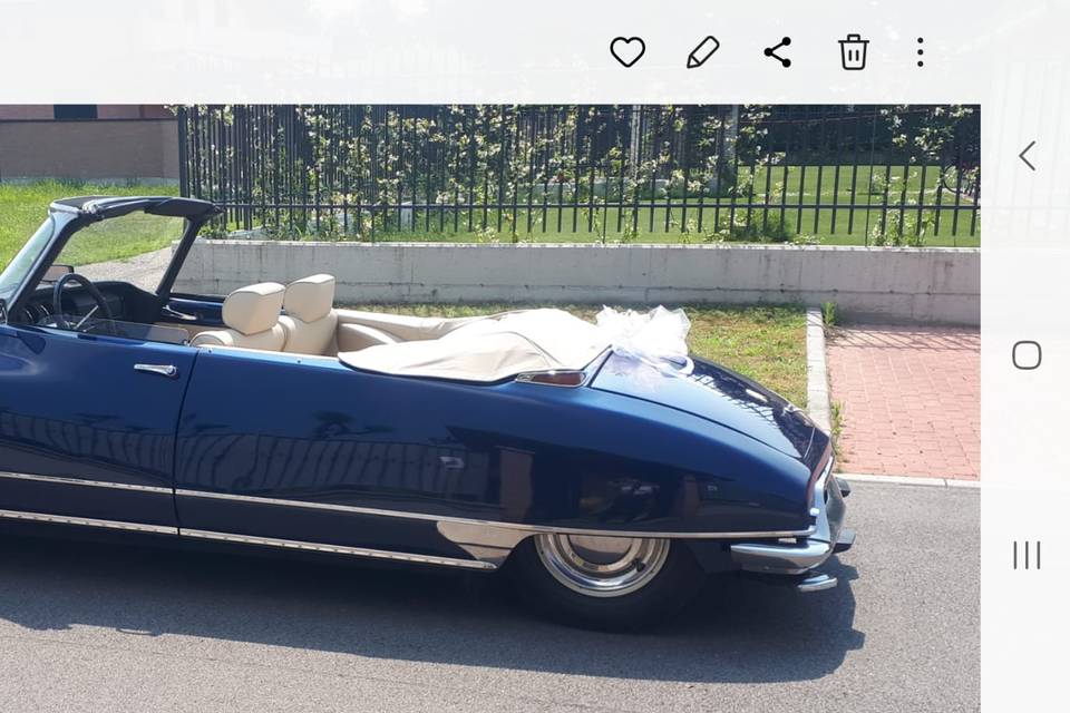 Pallas cabrio 5
