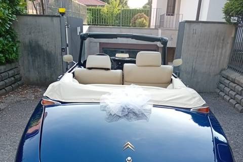 Pallas cabrio 1