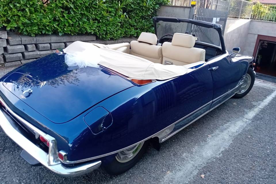 Pallas cabrio 2