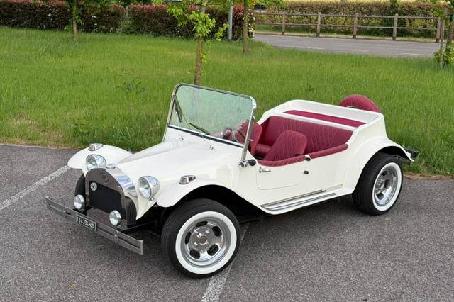 Buggy 3
