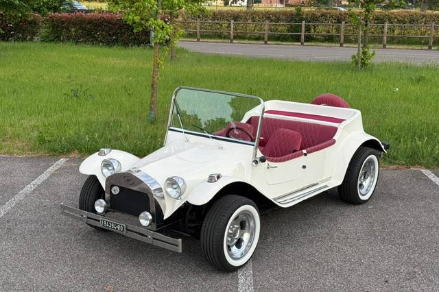 Buggy 9