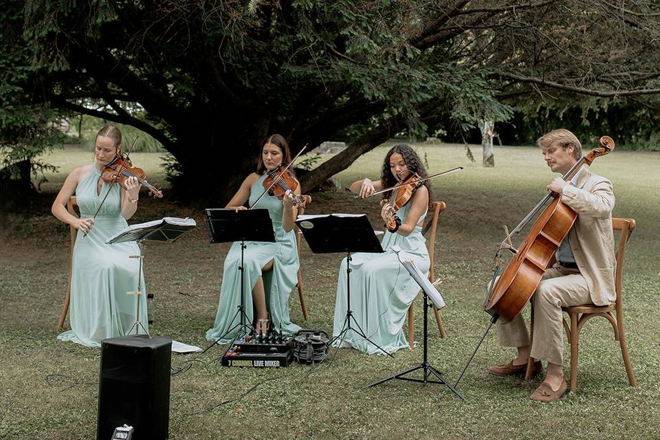 Quartetto archi