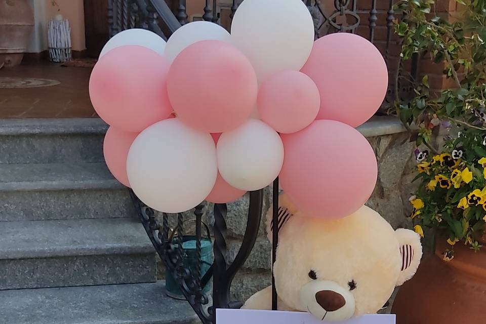 Baby orso