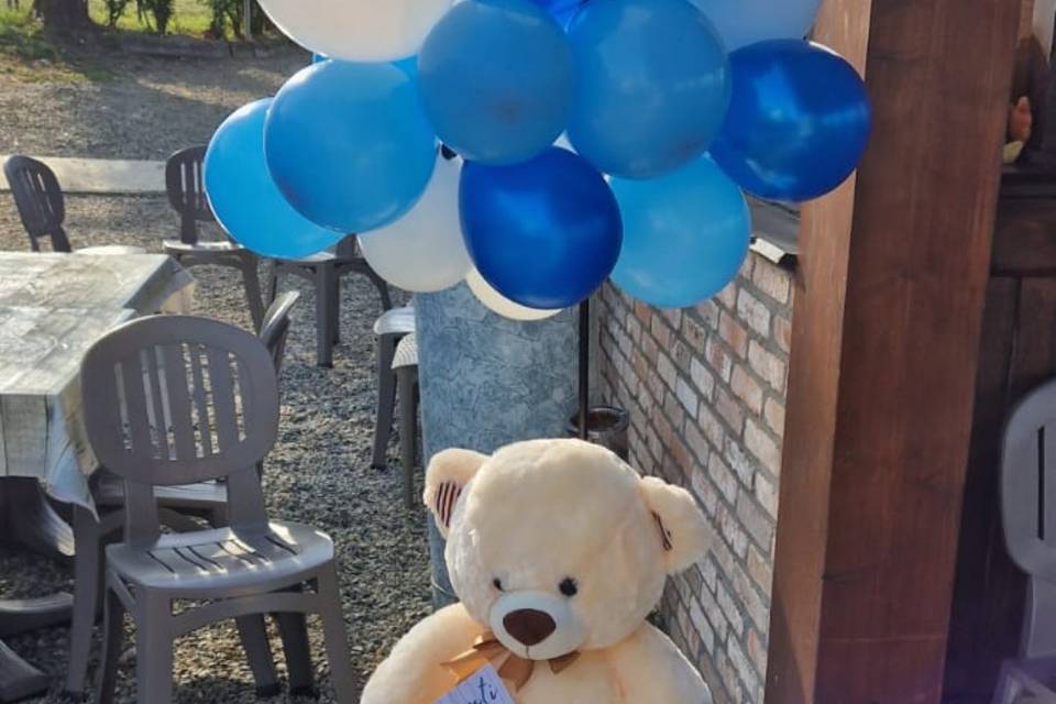 Baby orso