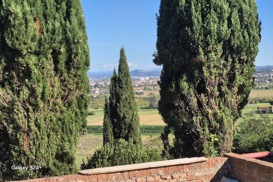 Panorama