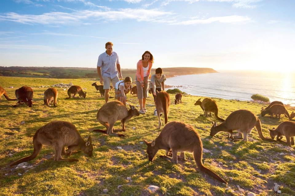 Kangaroo Island - Australia