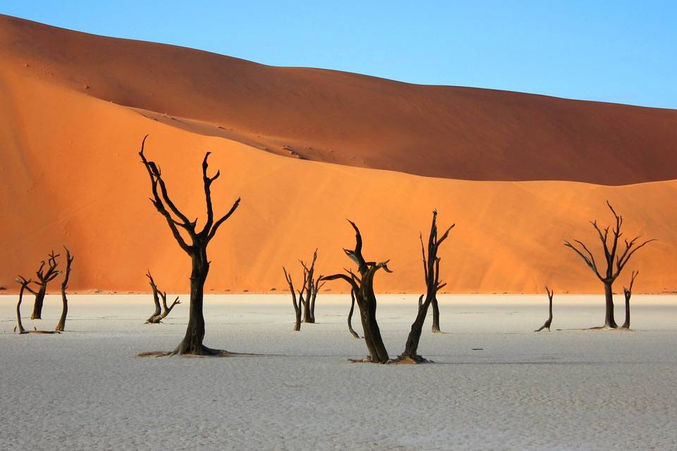 Namibia e i suoi deserti