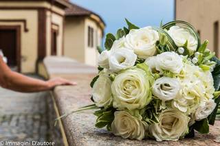 Le Rose di Sharon 2