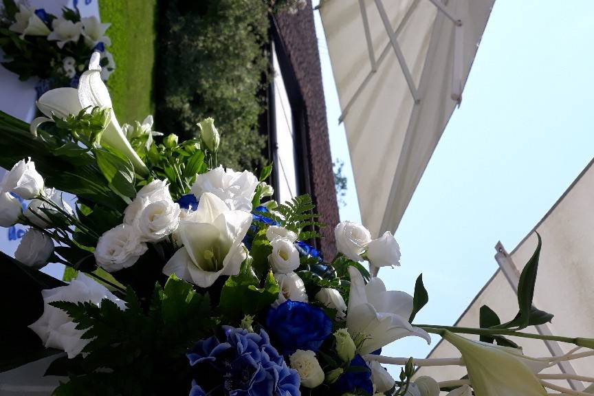 Buriasco fiori bianco blu