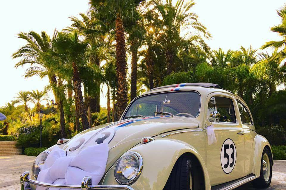 Herbie Wedding