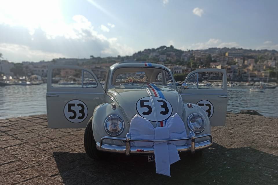 Herbie Wedding