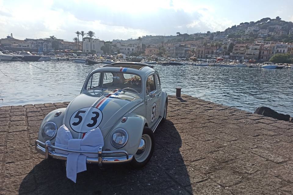 Herbie Wedding