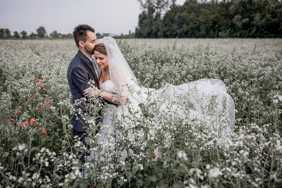 Vincenzo Pioggia Fotografo