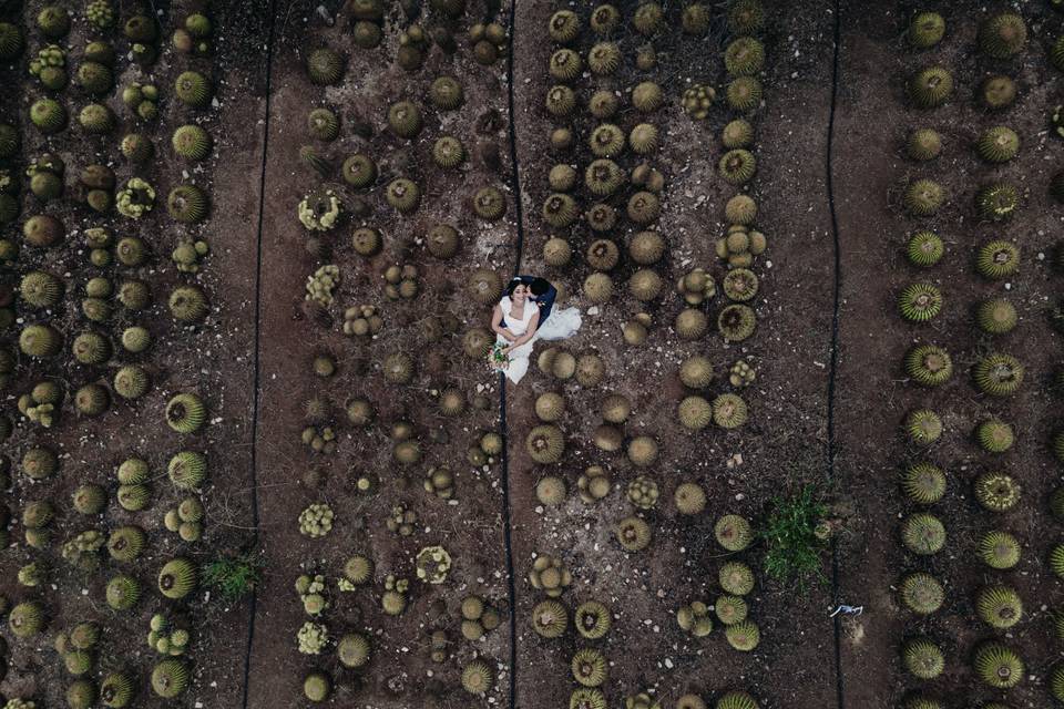 Vincenzo Pioggia Fotografo