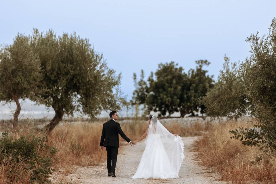 Vincenzo Pioggia Fotografo