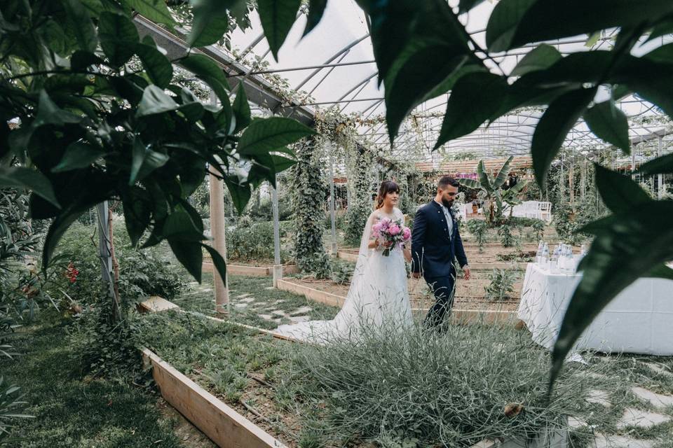Wedding in Cesena