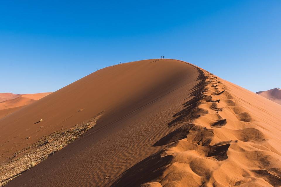 Un tè nel deserto