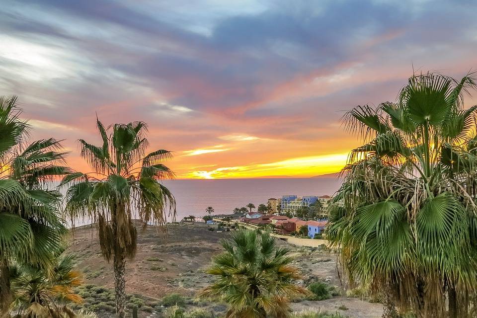 Canarie e tramonti