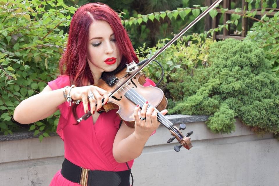 Sofia Violinista