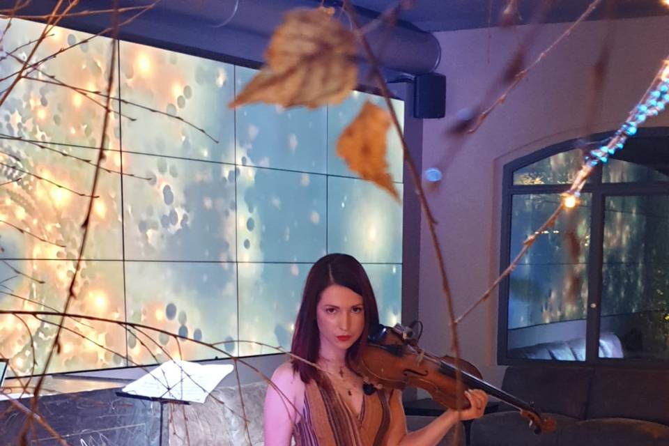 Sofia Violinista