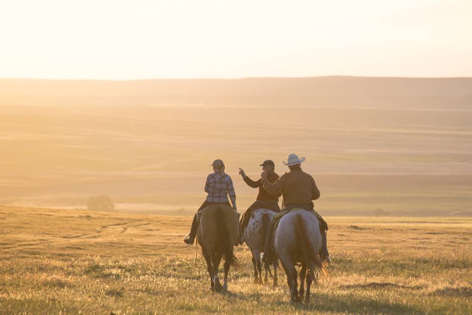 Stati Uniti : Montana