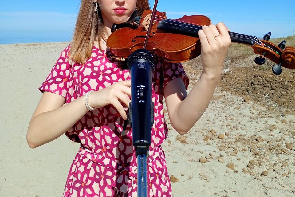 Violinista
