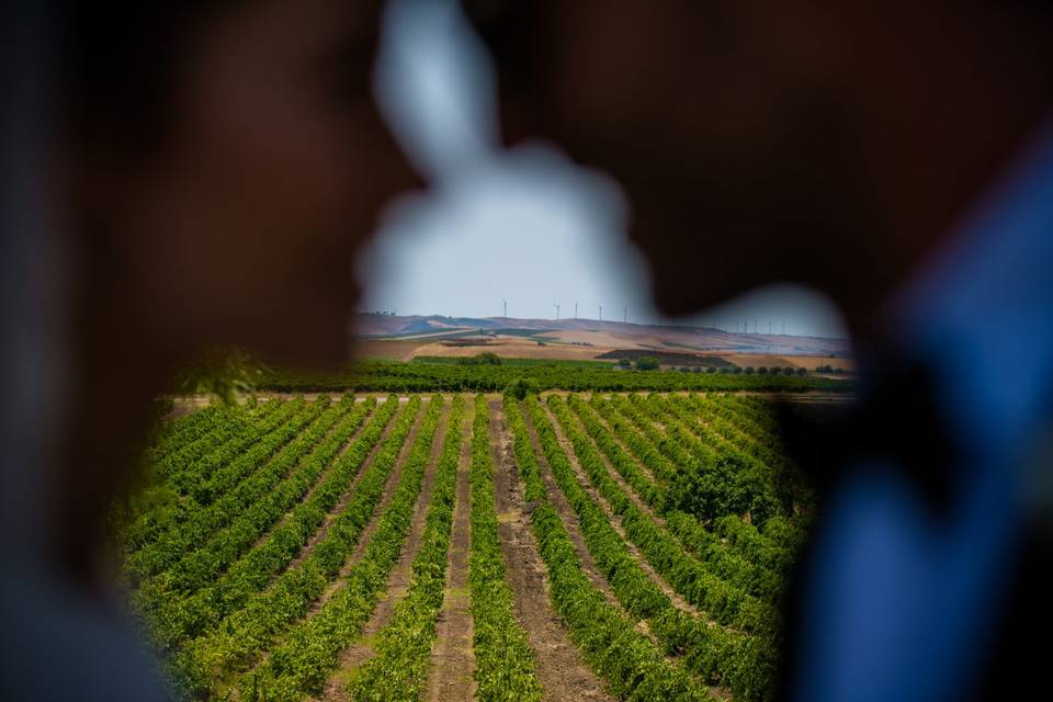 Fotografo-Baglio-Borgesati