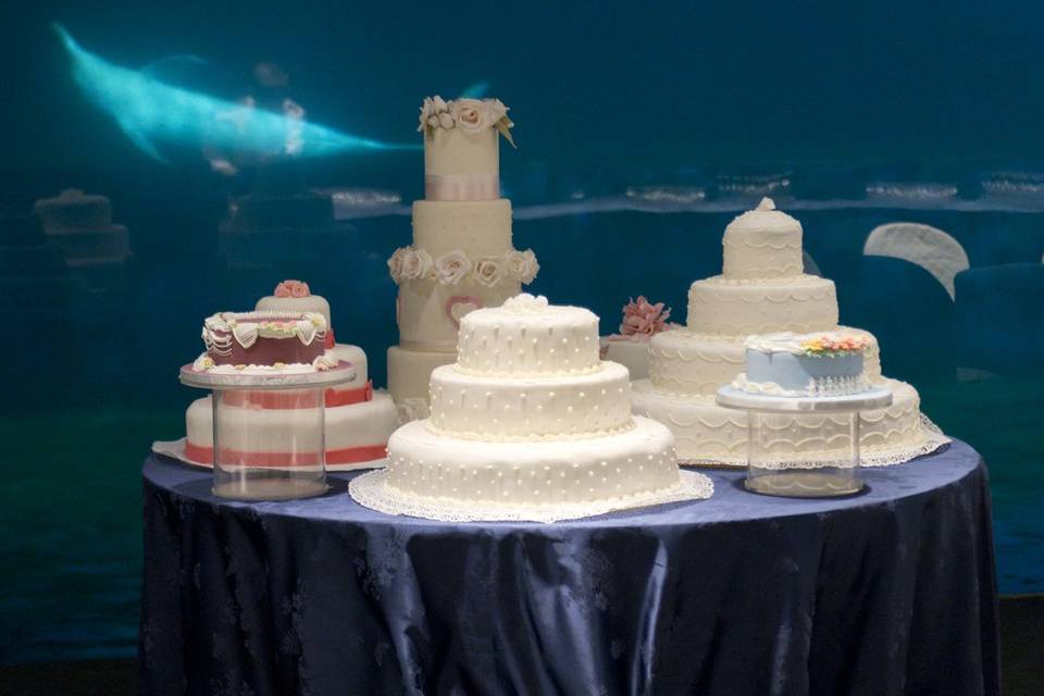 Wedding Cake