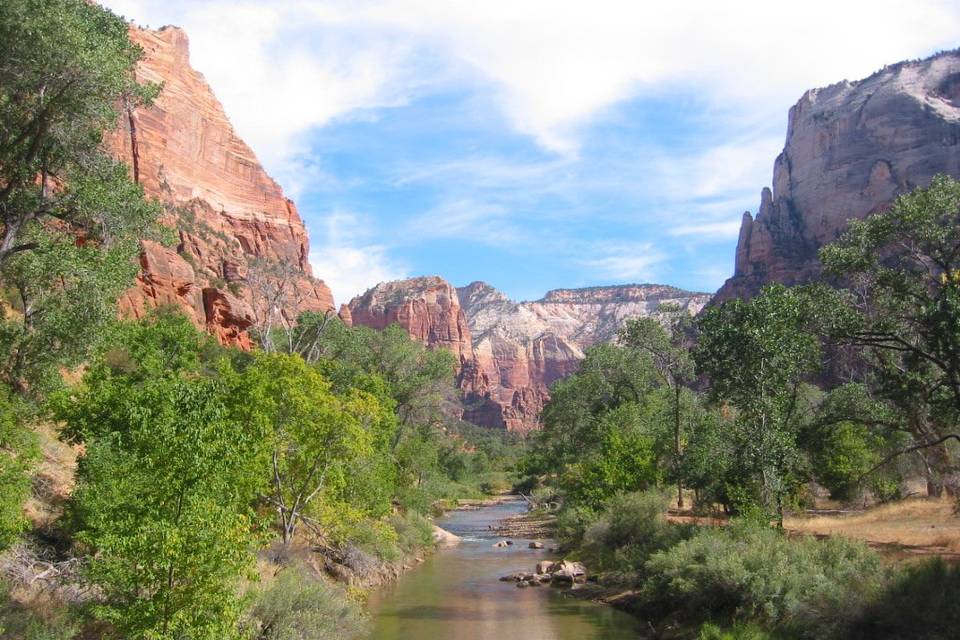 Zion N.P. - USA