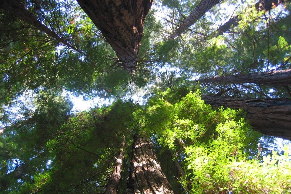 Yosemite N.P. - USA