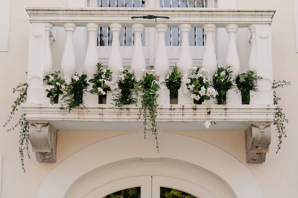 F&Fvirgoevents