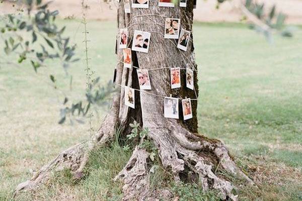 Albero con foto Sposi