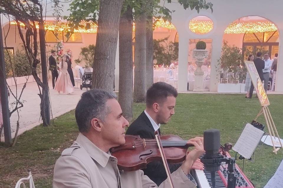 Durante il ricevimento