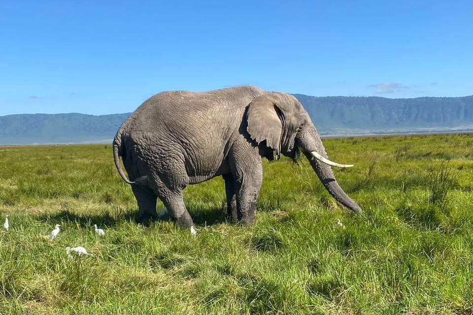 Foto dalla Tanzania -h/moon