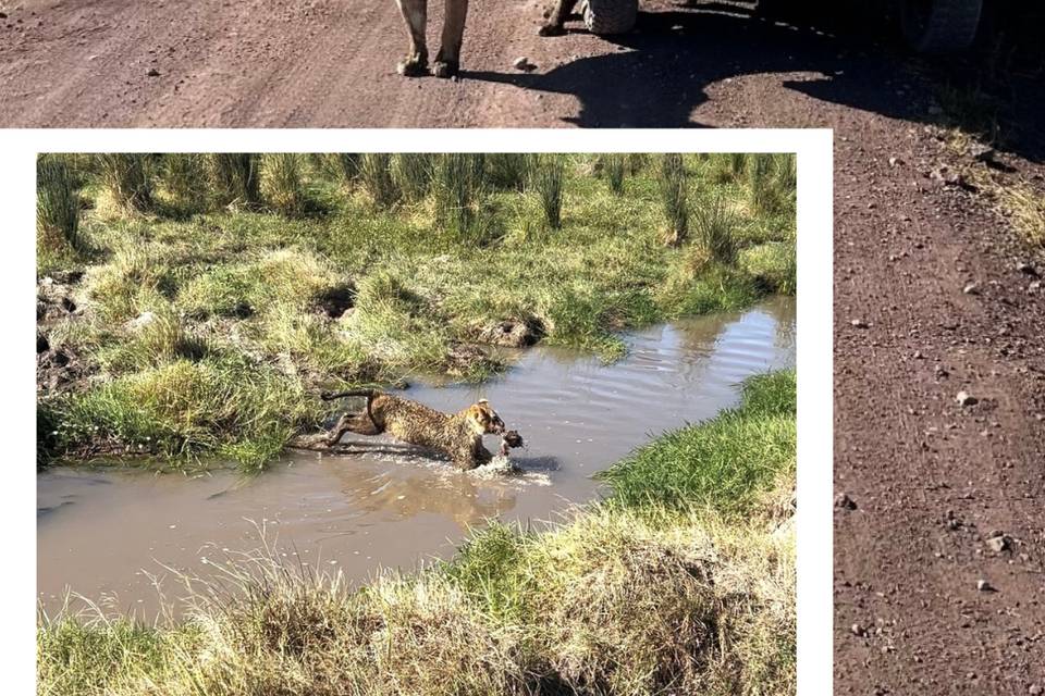 Foto dalla Tanzania -h/moon