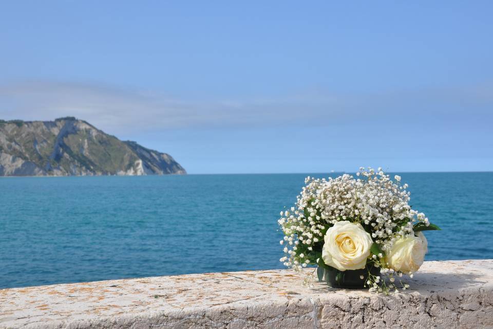 Vista sulla Baia di Portonovo