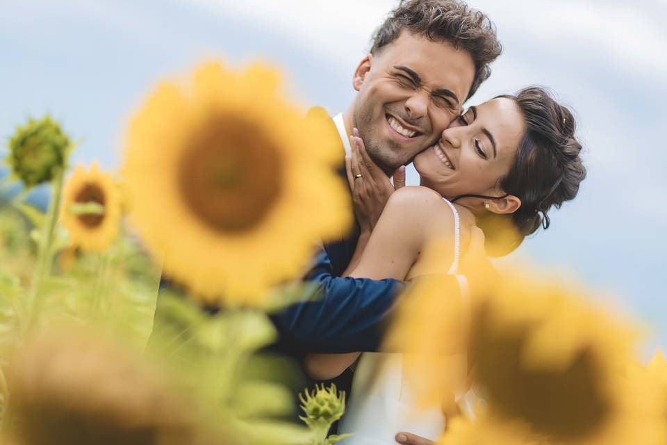 Girasoli