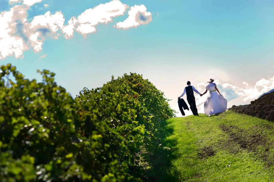 Amiche sposa - luigi sauro