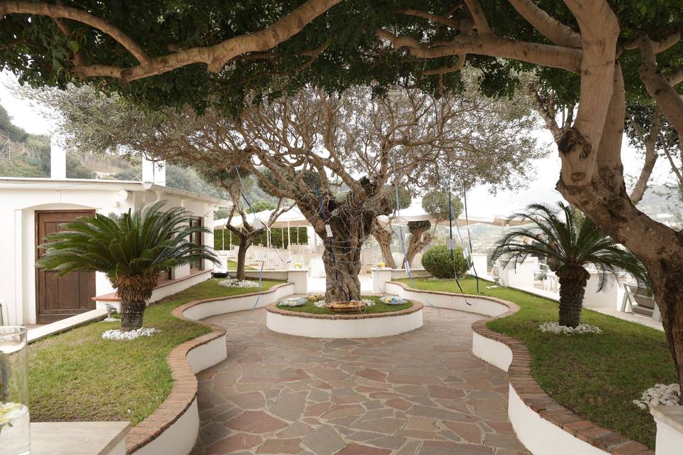 Giardino