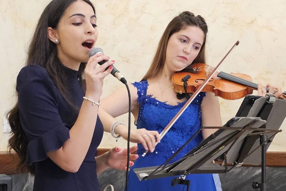 Voce e Violino