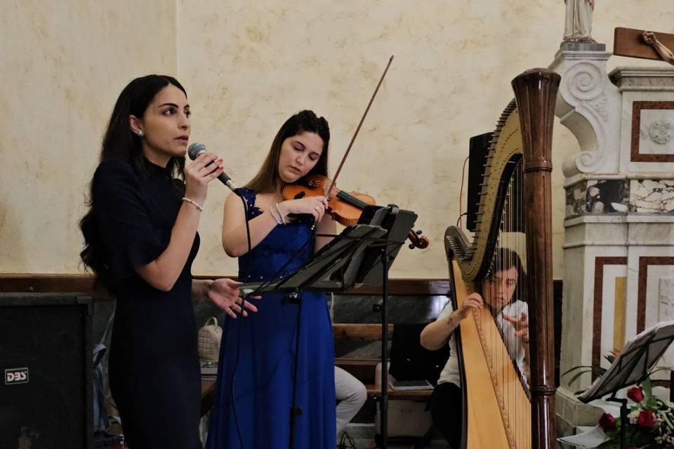 Voce, violino e arpa