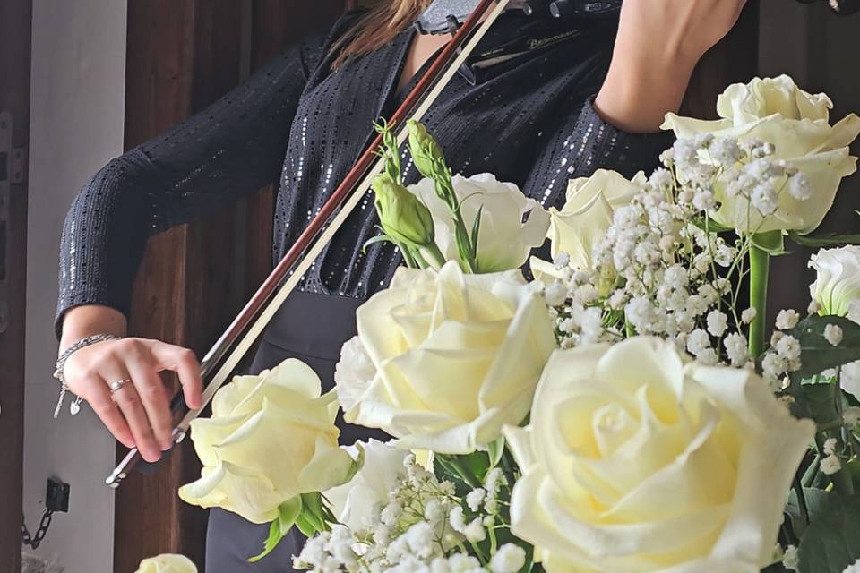 Violino elettrico